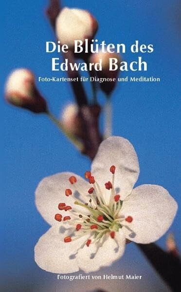 Edition Tirta: Kartenset Die Blüten des Edward Bach: Bilder der Bachblüten für Diagnose und Meditation