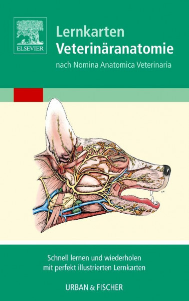 Lernkarten Veterinäranatomie/Veterinary Anatomy Flash Cards: Nach Nomina Anatomica Veterinaria. Schnell lernen und wiederholen mit perfekt illustrierten Lernkarten