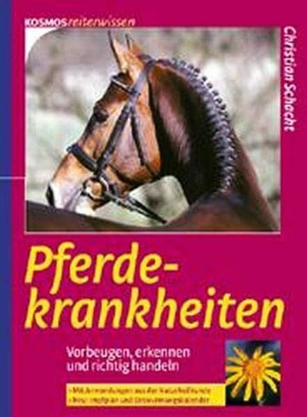Pferdekrankheiten: Vorbeugen, erkennen und richtig handeln