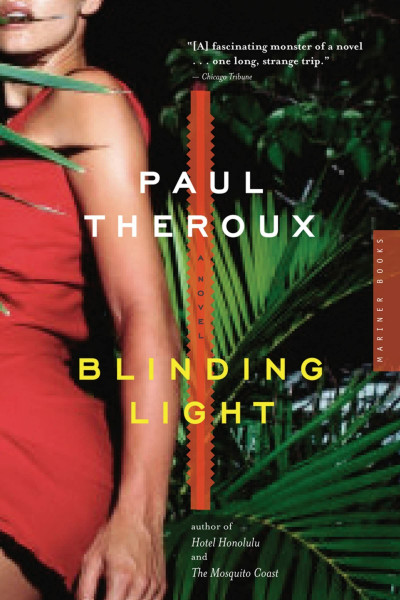 Blinding Light: A Novel: A Darkly Satirical Literary Tale of a Writer's Hallucinogenic Obsession, Erotic Vision, and Disastrous Ruin