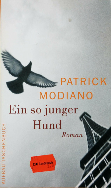 Ein so junger Hund: Roman (Aufbau Taschenbücher)