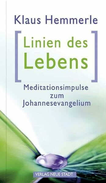 Linien des Lebens: Meditationsimpulse zum Johannesevangelium (Spiritualität)