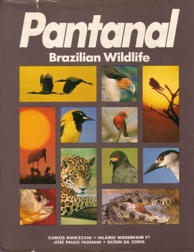 Pantanal. Brazilian Wildlife