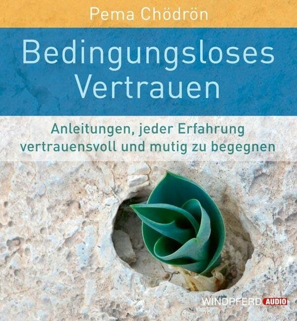 Bedingungsloses Vertrauen: Anleitungen, jeder Erfahrung vertrauensvoll und mutig zu begegnen Bedingungsloses Vertrauen: Anleitungen, jeder Erfahrung vertrauensvoll und mutig zu begegnen