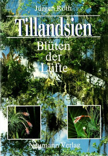 Tillandsien. Blüten der Lüfte