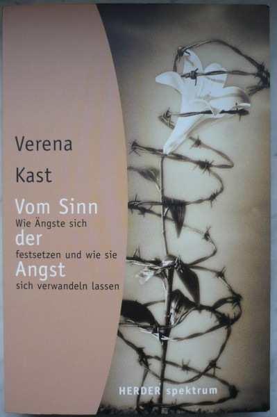 Vom Sinn der Angst: Wie Ängste sich festsetzen und wie sie sich verwandeln lassen (HERDER spektrum)