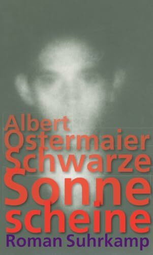 Schwarze Sonne scheine: Roman