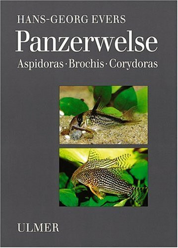 Panzerwelse: Aspidoras - Brochis - Corydoras