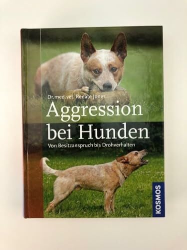 Aggression bei Hunden: Von Besitzanspruch bis Drohverhalten