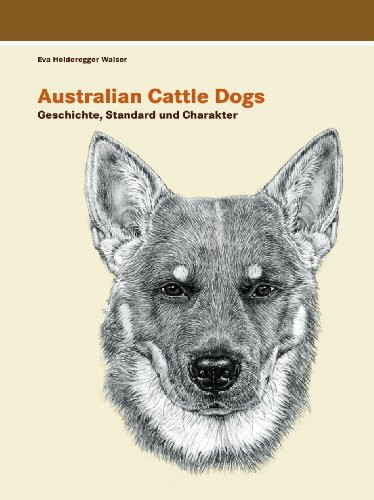Australian Cattle Dogs, Geschichte, Standard und Charakter - Eva Holderegger Walser