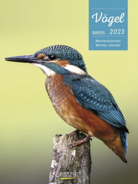 Vögel 2023