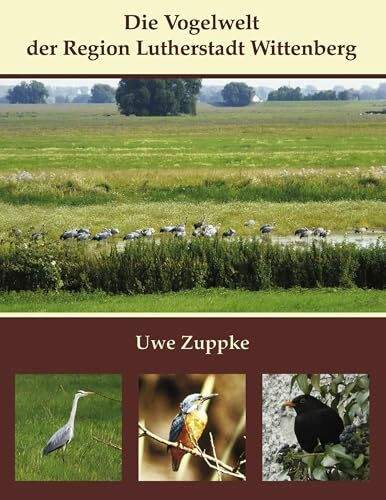 Die Vogelwelt der Region Wittenberg