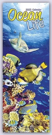 Ocean Life - Lebendige Unterwasserwelt 2023