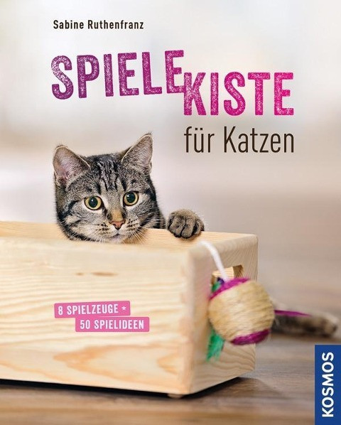 Spielekiste für Katzen