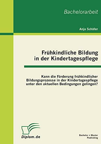 Frühkindliche Bildung in der Kindertagespflege: Kann die Förderung frühkindlicher Bildungsprozesse in der Kindertagespflege unter den aktuellen Bedingungen gelingen?