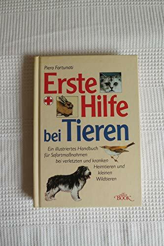 Erste Hilfe bei Tieren