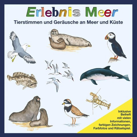 Erlebnis Meer