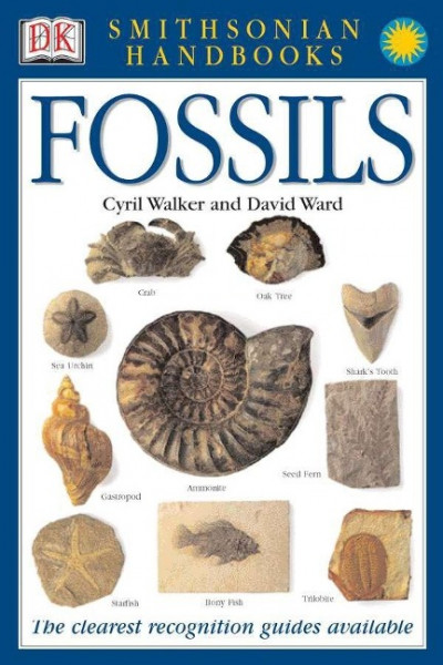 Handbooks: Fossils: The Clearest Recognition Guide Available