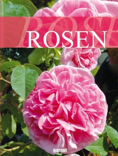 Rosen