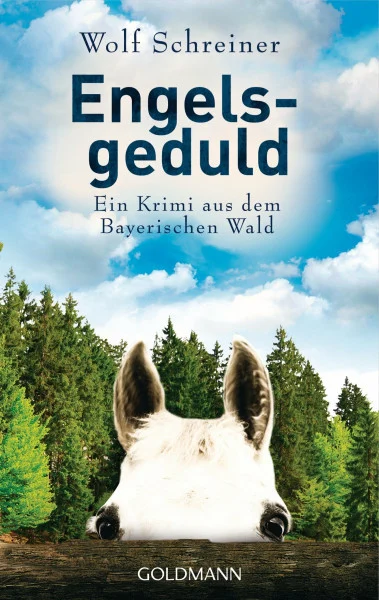 Engelsgeduld: Ein Krimi aus dem Bayerischen Wald (Pfarrer Baltasar Senner ermittelt, Band 5)