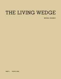 Michael Krebber. The Living Wedge. 2 Vols. Part I (Bildband)