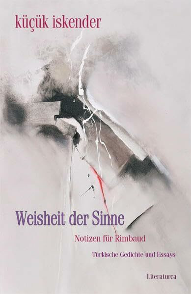 Weisheit der Sinne. Notizen für Rimbaud: Türkische Gedichte und Essays (Reihe Türkische Literatur)