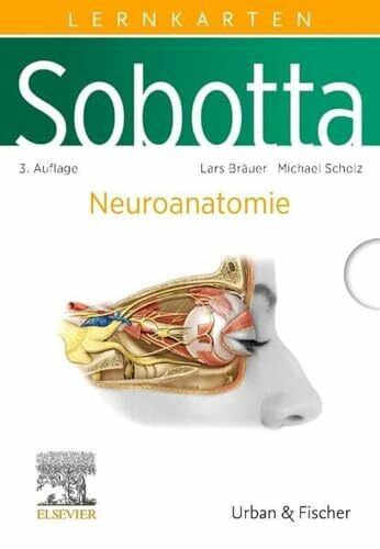 Sobotta Lernkarten Neuroanatomie