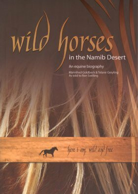 Wild horses in the Namib Desert