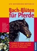 Bach-Blüten für Pferde