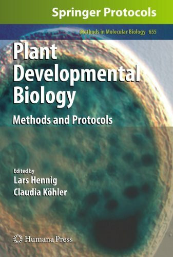 Plant Developmental Biology: Methods and Protocols (Methods in Molecular Biology, 655, Band 655)