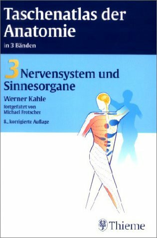 Taschenatlas der Anatomie 3. Nervensystem und Sinnesorgane