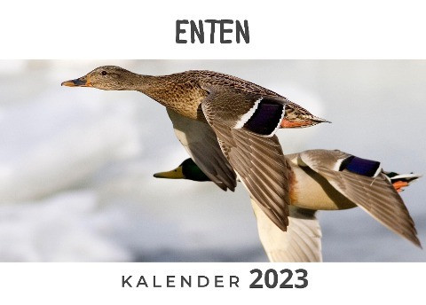 Enten