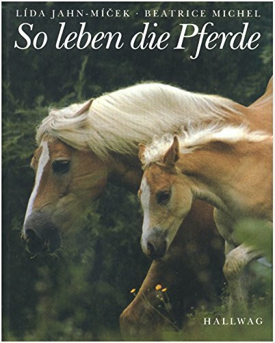 So leben die Pferde