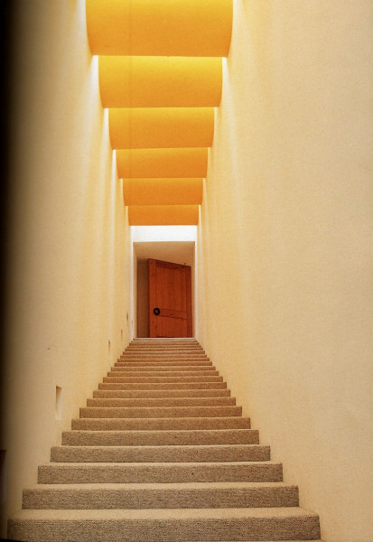 Mexican Contemporary (World Design Series)