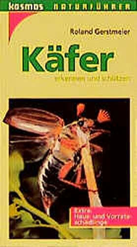 Käfer erkennen und schützen
