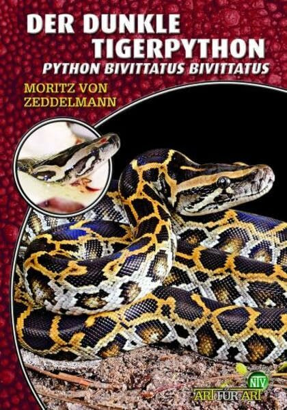 Der Dunkle Tigerpython: Python bivittatus bivittatus (Buchreihe Art für Art Terraristik)