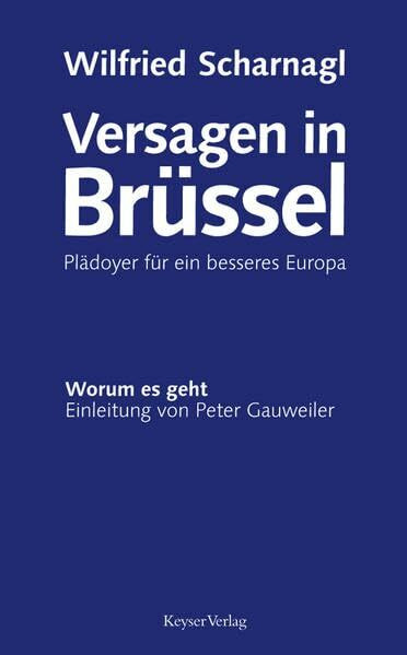 Versagen in Brüssel: Plädoyer für ein besseres Europa