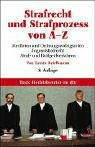 Strafrecht und Strafprozess von A - Z (dtv Beck Rechtsberater)