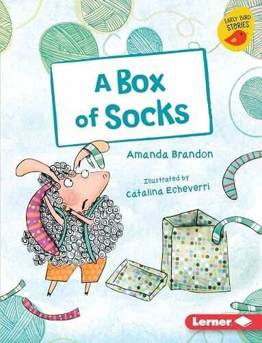 A Box of Socks (Early Bird Readers. Orange)