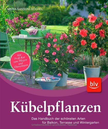 Kübelpflanzen: Das Handbuch der schönsten Arten für Balkon, Terrasse und Wintergarten. Mit Profi-Rat zum Pflegen und Überwintern