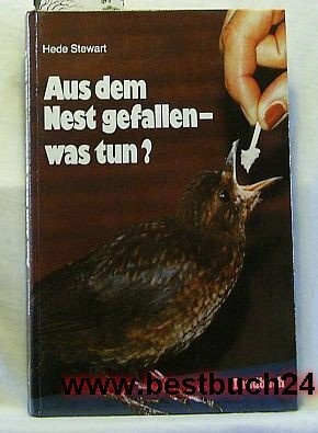 Aus dem Nest gefallen, was tun?