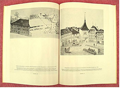 Die Stadtanlage von Thun: Burg und Stadt in vorzähringischer Zeit