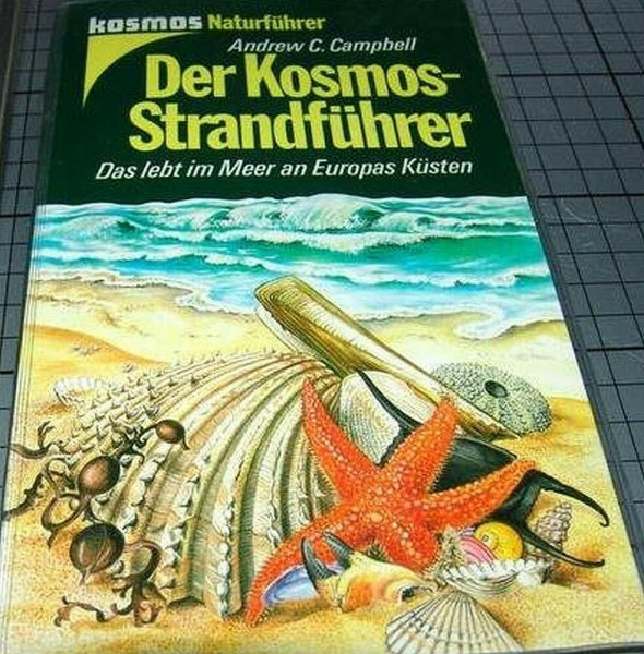 Der Kosmos-Strandführer: Das lebt im Meer an Europas Küsten (Kosmos Naturführer)