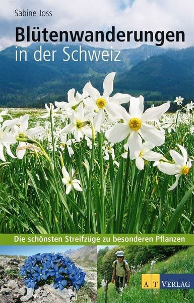 Blütenwanderungen in der Schweiz: Die schönsten Streifzüge zu besonderen Pflanzen