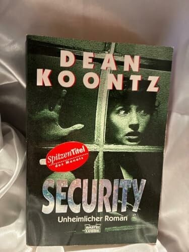 Security (Allgemeine Reihe. Bastei Lübbe Taschenbücher)