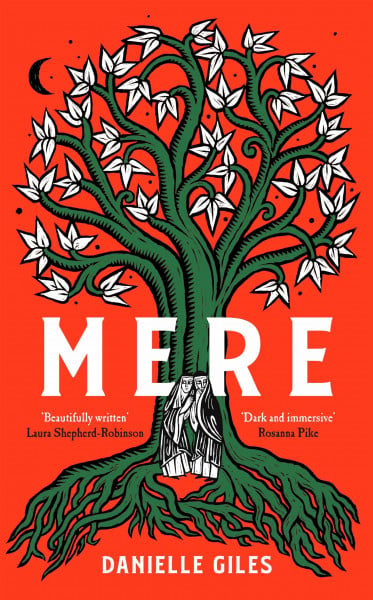Mere: A Dark and Atmospheric Historical Novel of Survival, Forbidden Love and Secrets in a Medieval Convent