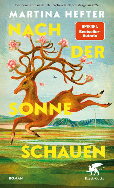 Nach der Sonne schauen: Roman