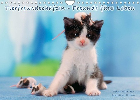 Tierfreundschaften - Freunde fürs Leben (Wandkalender 2022 DIN A4 quer)