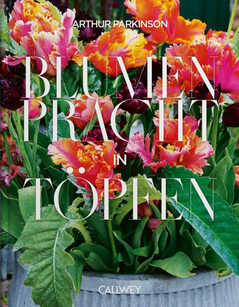 Blumenpracht in Töpfen