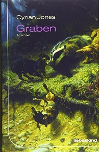 Graben: Roman